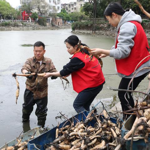 桂林卫生职业技术学院公办？