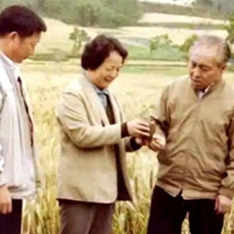 成都市仁寿县水利新村房价的长尾关键词有什么