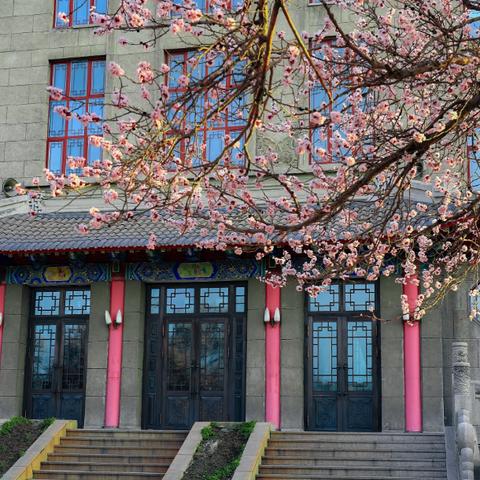 哈尔滨市大学有多少所