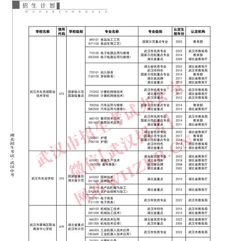 武汉市什么叫网招生
