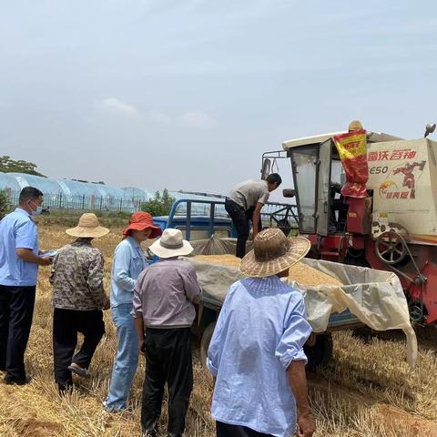 临沂市张庄镇天气的长尾关键词有哪些