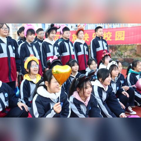 合肥市新航教育怎么样