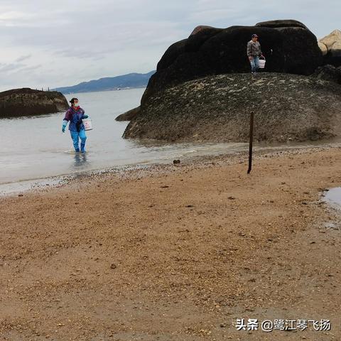 厦门市观景酒店电话多少