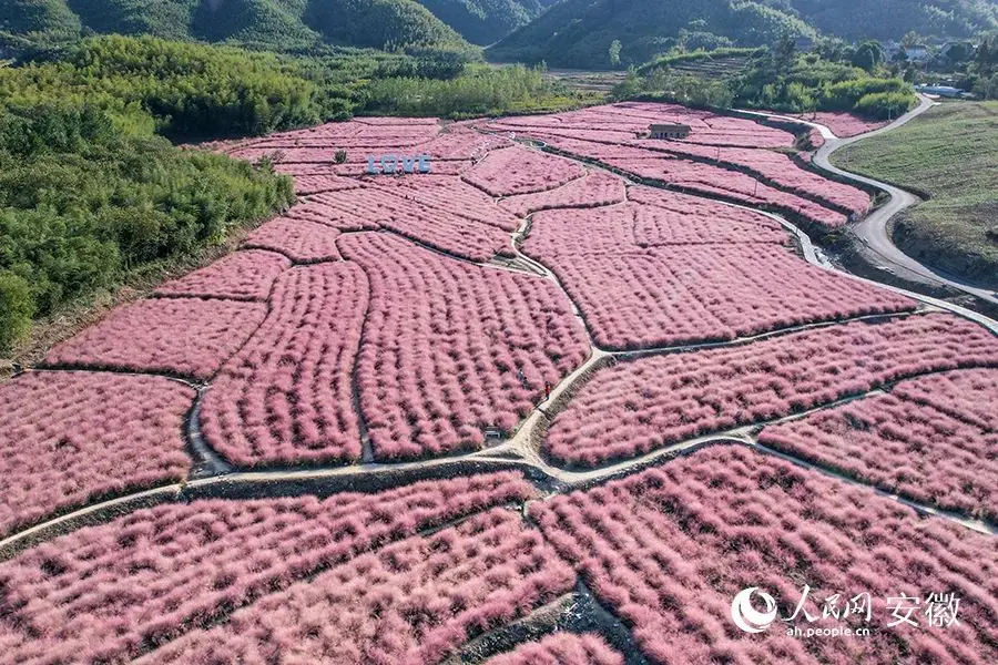 1688英国是什么王朝 英国是用什么跨境电商