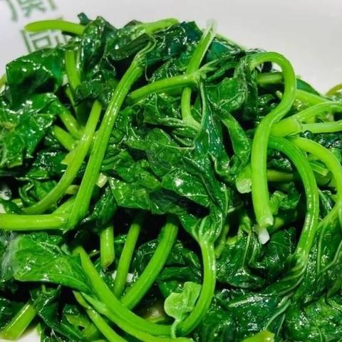 衡阳和长沙市区哪个更大