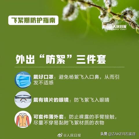 石家庄市飞絮怎么治理的长尾关键词有哪些