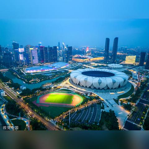 羊2025生肖运势(属羊2025年运势及运程详解)