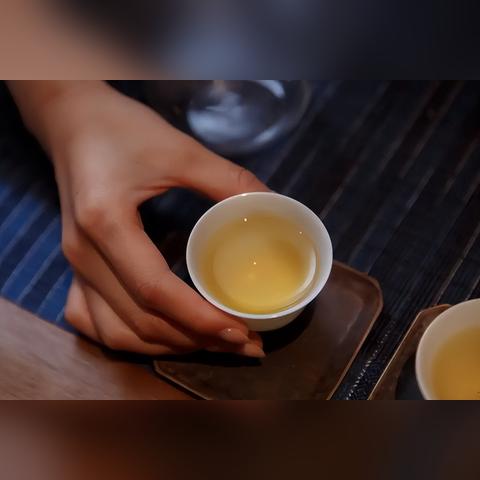 河南地区适合喝什么茶叶