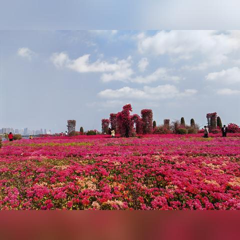 厦门市哪个公园好看点的