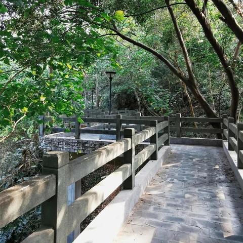 深圳市黄贝岭是哪个区