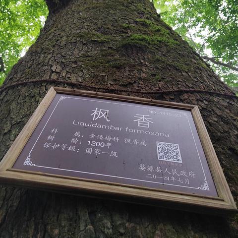 武汉到庐山旅游攻略的长尾关键词有什么