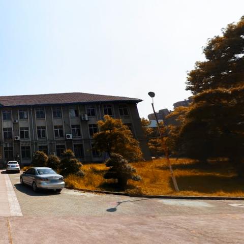 武汉市大学校怎么样