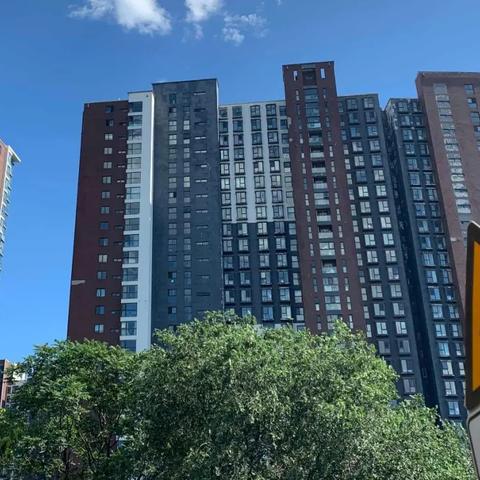 深圳小汽车摇号每月几号？