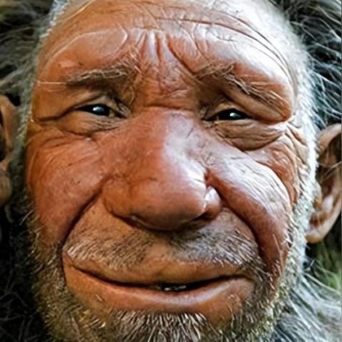 植物大战僵尸 杂交版（植物大战僵尸，杂交版的奇妙世界）