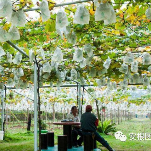 facebook账号怎么验证身份 相关的长尾关键词有哪些 