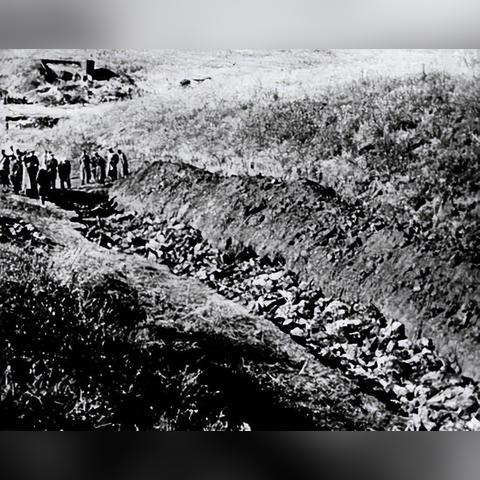 沈阳娘子相关长尾关键词有哪些