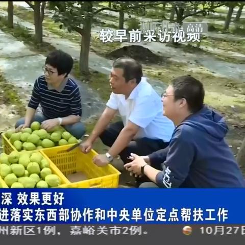 厦门牧业的相关长尾关键词有哪些