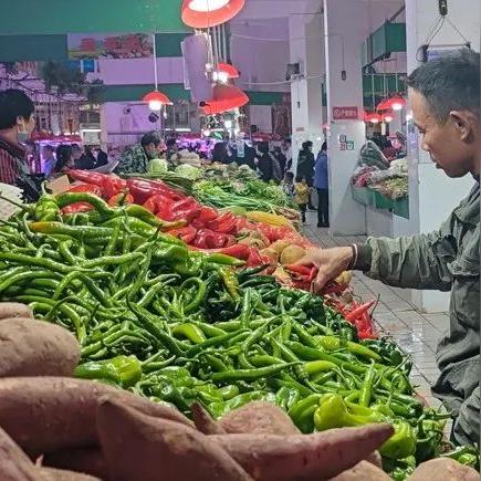 【深圳今日菜价】2025年4月25日深圳菜价是多少