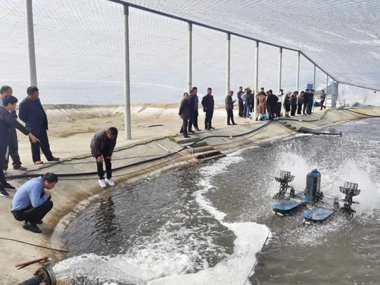 越溪成校：高效海水养殖引领，助力农民创业增收
