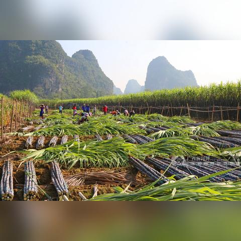 去南宁医科大看病怎样报销？