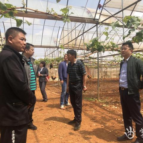 昆明市工伤标准计算的长尾关键词有什么