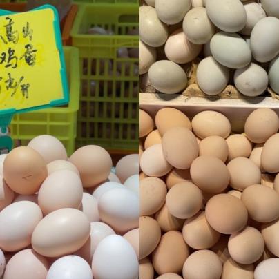 【杭州今日菜价】2025年4月14日杭州菜价是多少