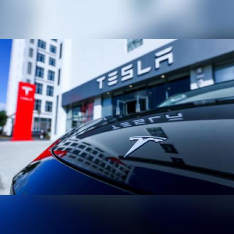 生肖兔20年11月份运势(属兔的2020年11月份运势如何)