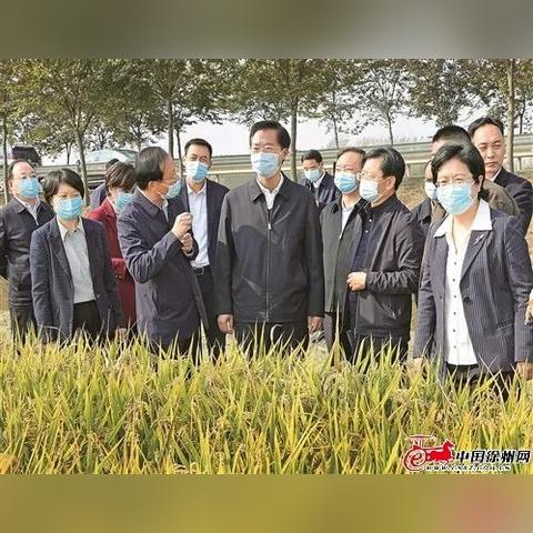 【天津大棚菜】长尾关键词有什么