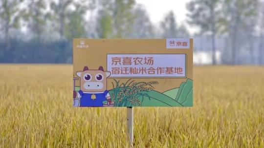 京喜农场推出强村计划：三年覆盖超10000村，赋能超1000万新农人