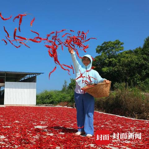 tiktok地标 衍生的长尾关键词有哪些 
