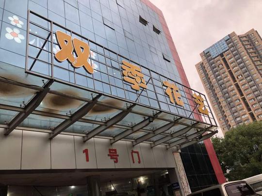 花鸟市场里也能免费摆摊卖“闲鱼”！亲测魔都花鸟市场们的“新花样”｜民生测评·15分钟生活圈