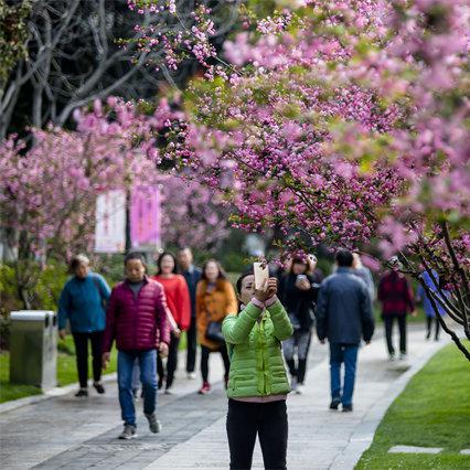 关于上海万博家园相关关键词有哪些