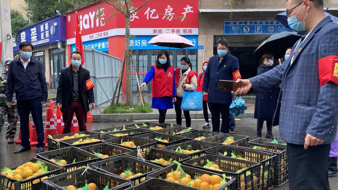 日本爱媛县有哪些街道（金堂哪里种有阳光一号桔柚）