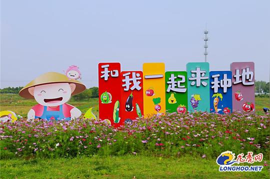 以党建为引领漆桥街道茅山村夯实“发展绿”底色