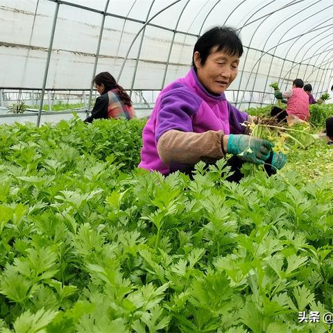 兴平人怎么去西安市