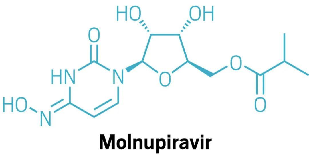 【河北邢台新冠病毒基因测序结果公布
 /河北邢台新冠病毒基因测序结果公布了吗】