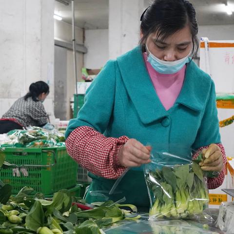 【福建今日菜价】2025年6月27日福建菜价是多少