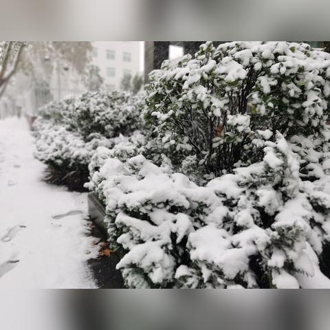 济南火车站广场汽车站到济南市中医院怎么走？