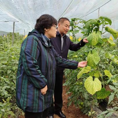 邯郸市永年区大风的长尾关键词有哪些