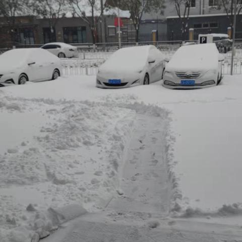 沈阳市清明节天气怎么样