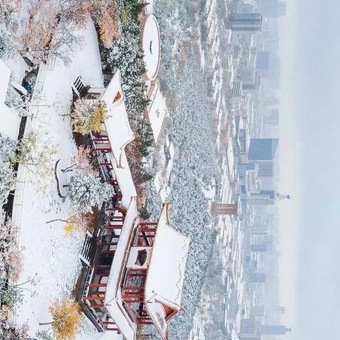 济南市中区什么时候下雪