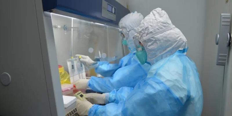 辽宁新增4例本土确诊病例
 ,辽宁新增4例本土确诊病例详情