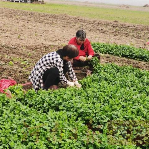 日期新鲜货源充足怎么办