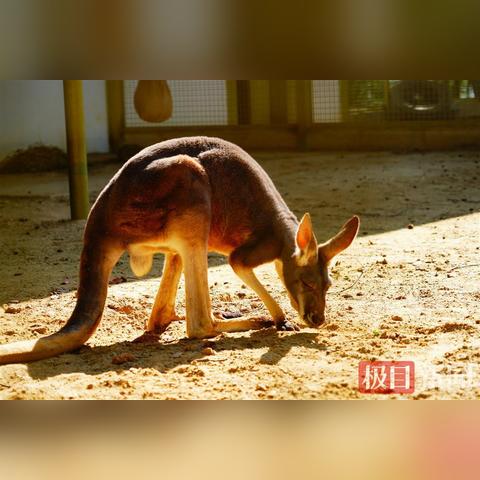 武汉装暖气哪家公司好？