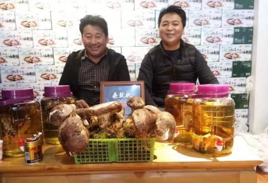 拉茸知诗一家见证香格里拉松茸成为群众的“绿色银行”
