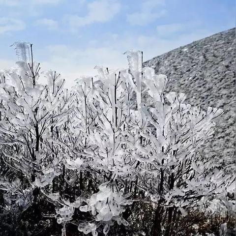 福建下雪地方？