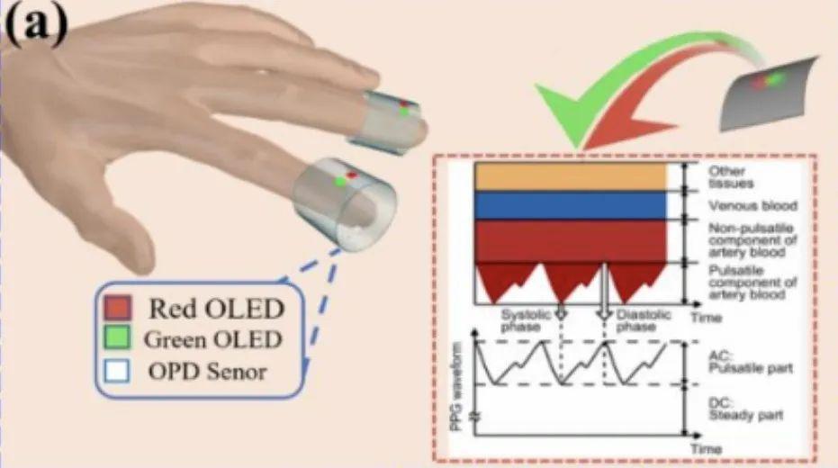 信号处理高级职称论文要求三本本科生能做人工智能吗