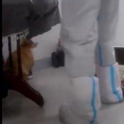 去上饶穿什么衣服