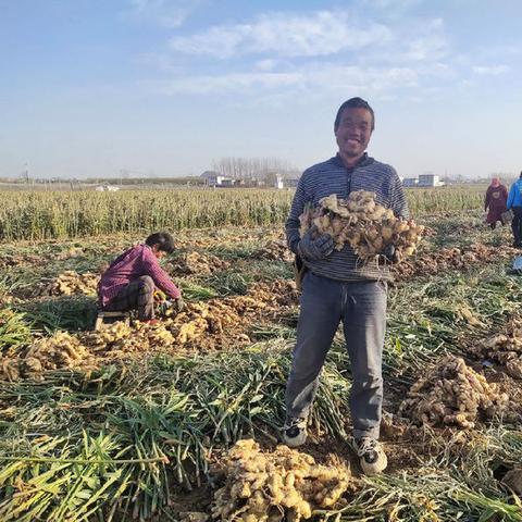 原潍坊市市长姜的长尾关键词有哪些