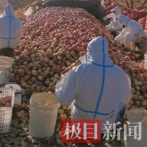 大连市高三什么时候放假